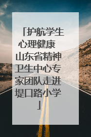 护航学生心理健康 山东省精神卫生中心专家团队走进堤口路小学
